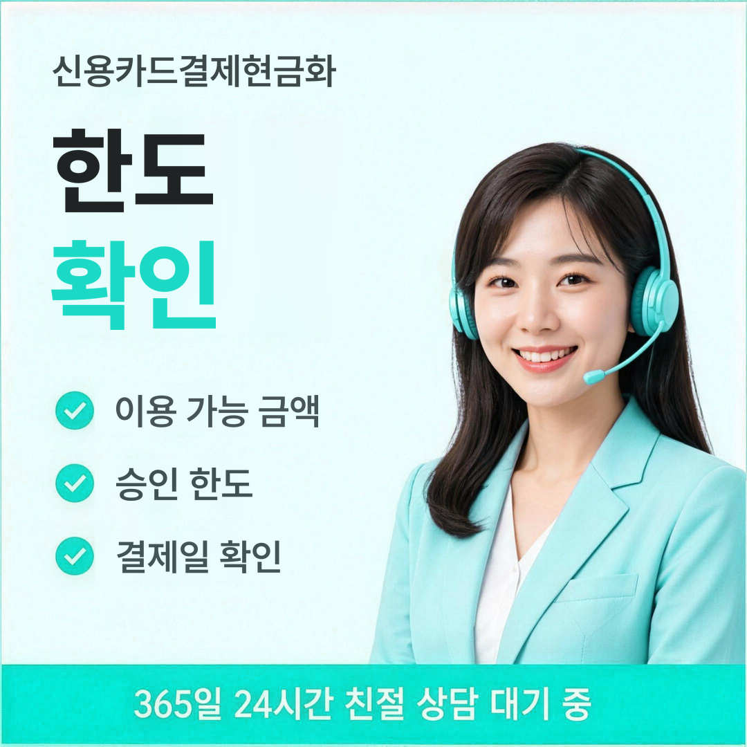 다음머니 신용카드결제현금화 한도 확인 안내